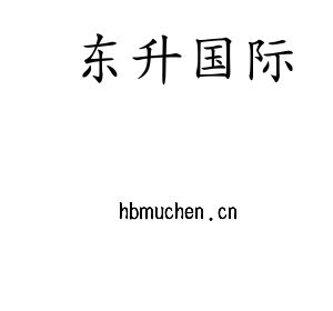 东升国际
